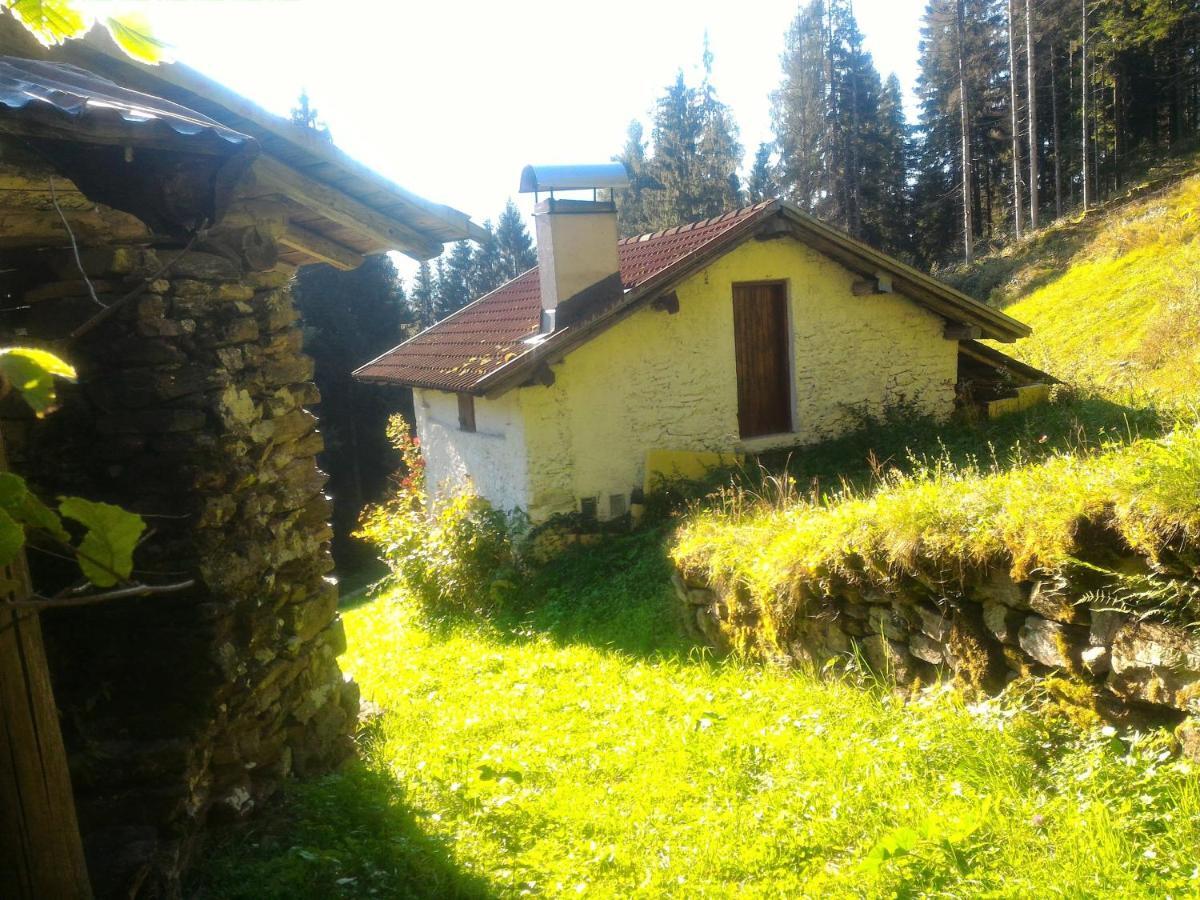 Apartmán Casa Lausen Canal San Bovo Exteriér fotografie